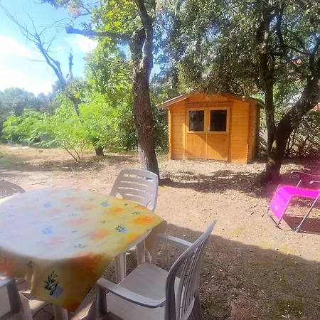 Large Family With Garden Close To The Arcachon